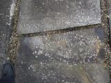 image of grave number 57899